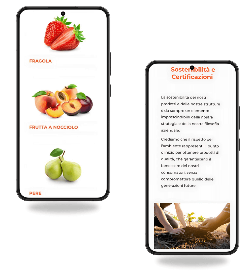 visualizzazione mobile del sito di antonelli fabio