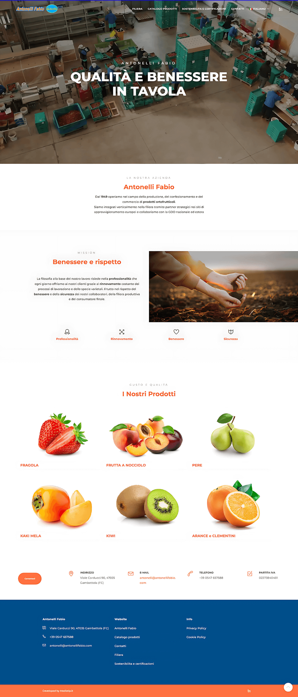 home page del sito di fabio antonelli