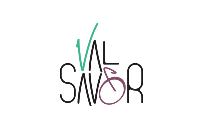 logo valsavor