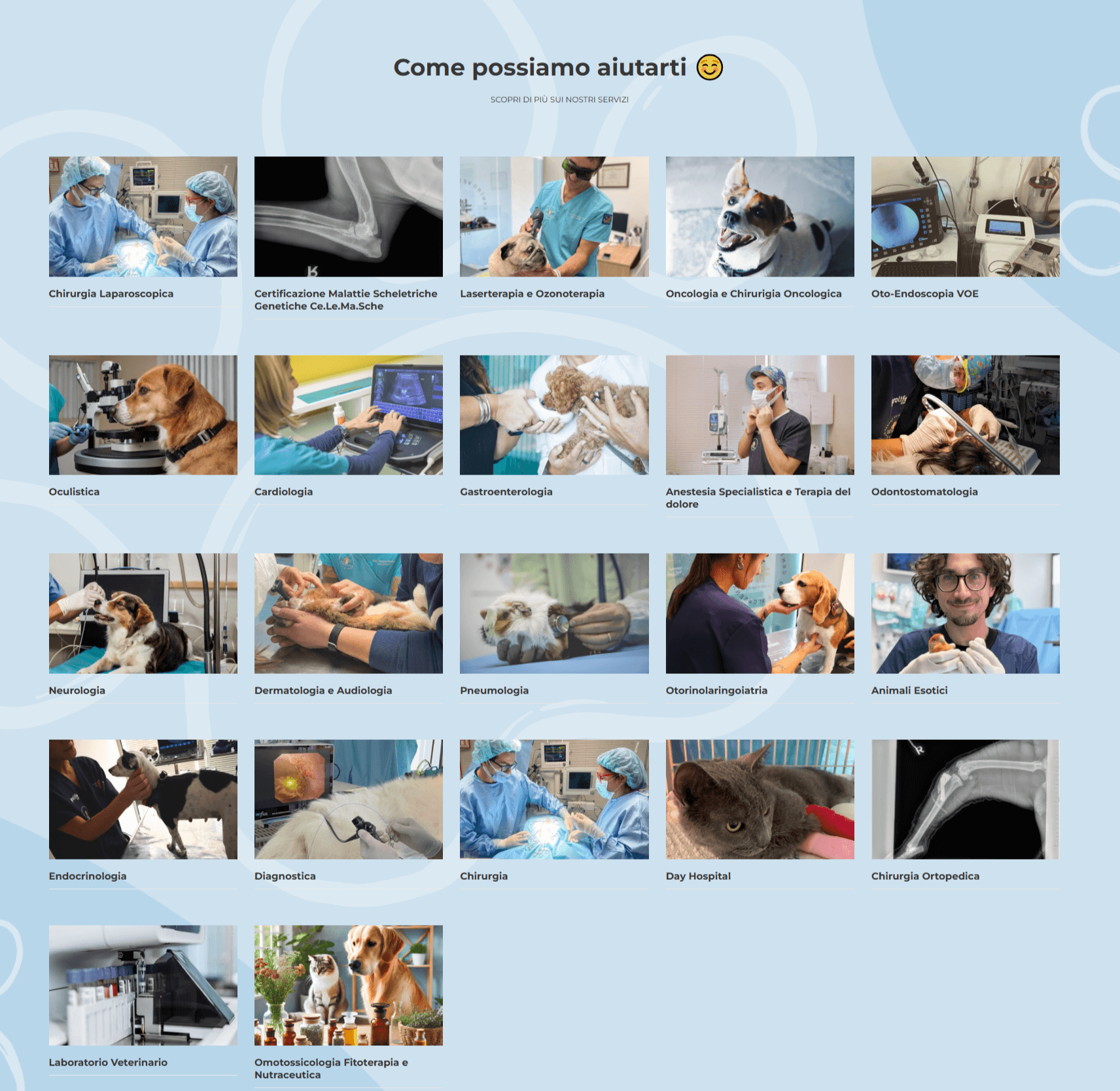 Schermata desktop del sito Centro Veterinario Città di Cesena
